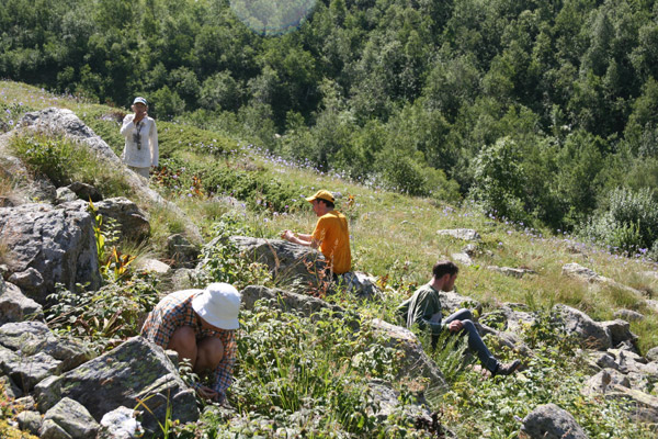Малиновое объедение