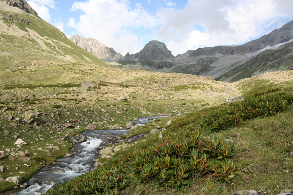 Долина р.Джалаучат