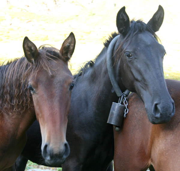 Они нас не понимают