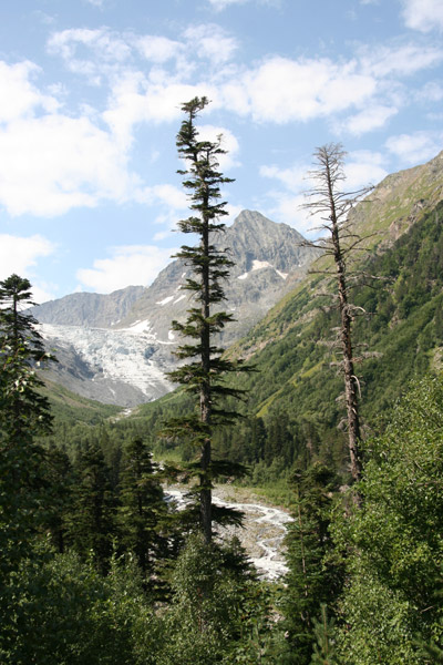 Спускаясь ниже елей