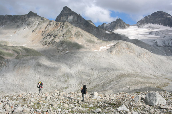 Растительности нет, ископаемых нет