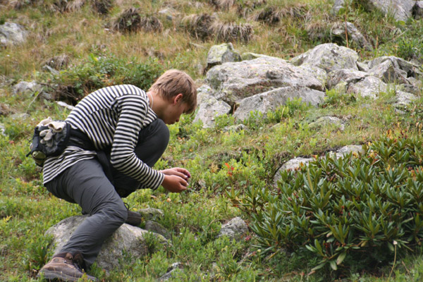 Голодный матрос на подножном корму
