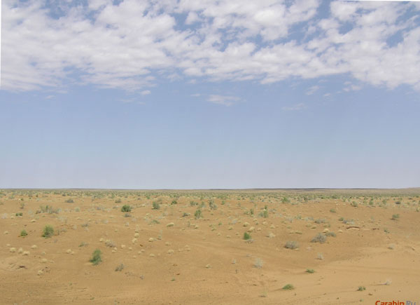 Днем в пустыне