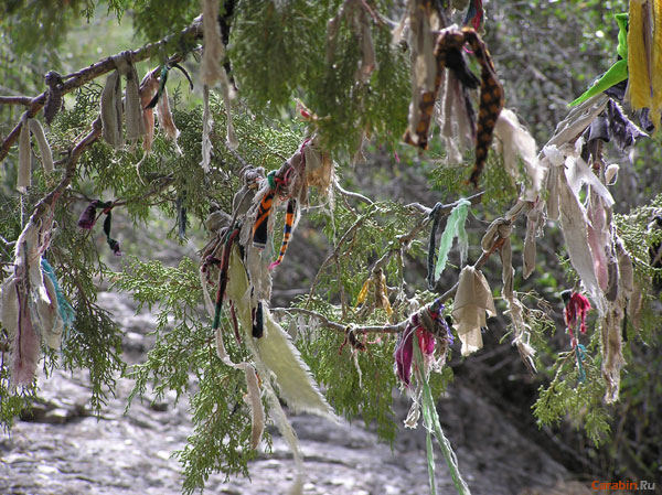 Священная арча