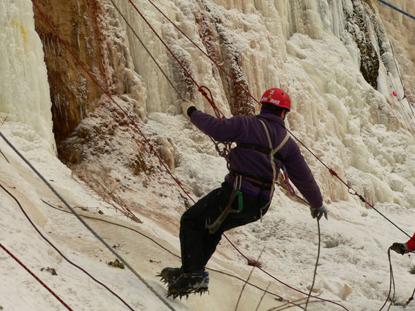 На дистанции команда &quot;Стрелец&quot;