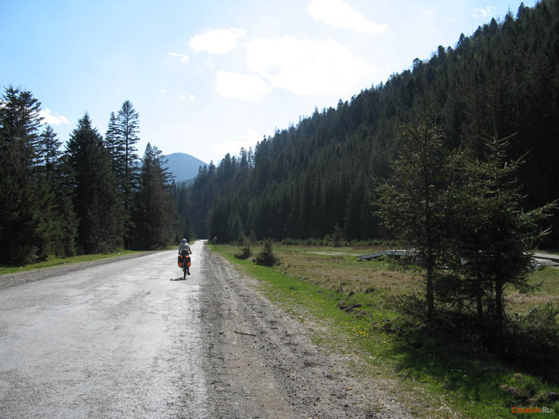 Дорога на Вышков