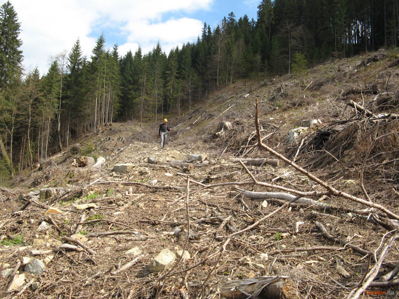 Дорога кончается