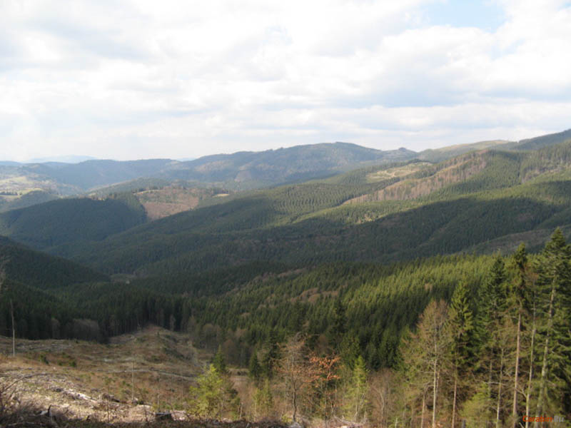 Карпатские горки