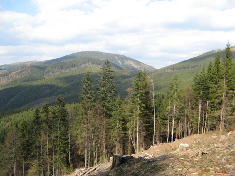 Карпаты. Вид с северного склона г.Озерная