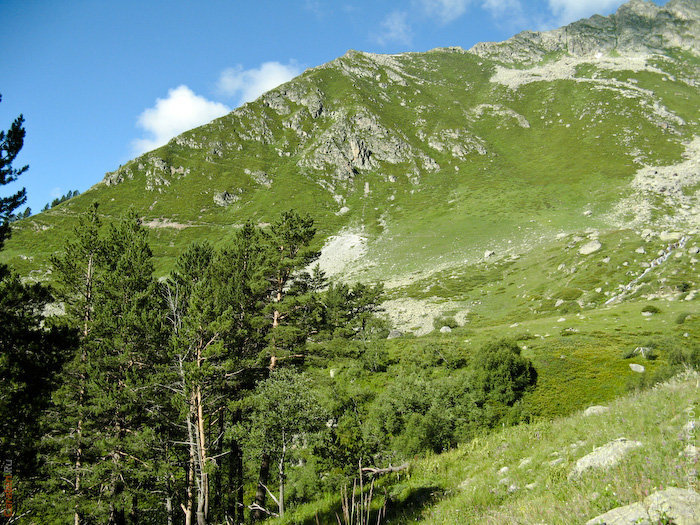 Отрог разделяющи р.Трехозерный и р.Кичи-Талы-Чат