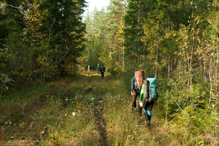 Участники на дистанции МБ2010. Дорога от КП 33