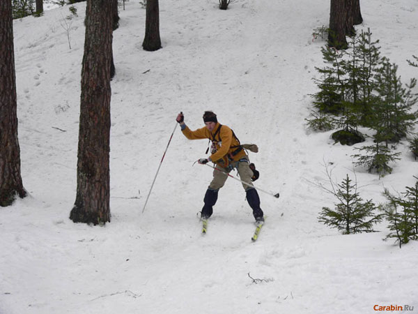 Елки-палки...