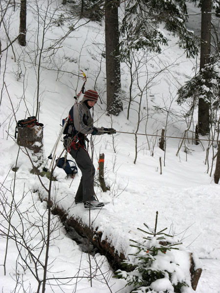 Бревно маятником