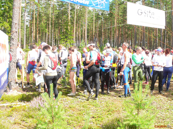 Старт группы L