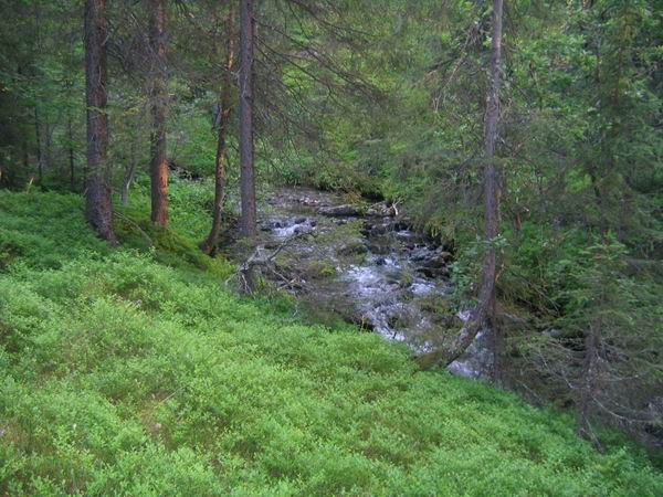 Путь в ущелье