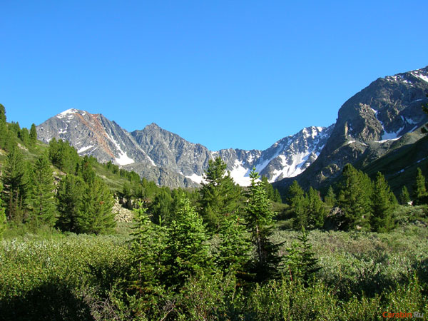 Выше ущелья