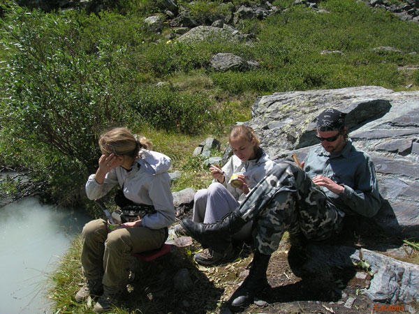 Вместо обеда