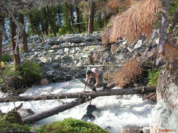 Переправа с ношей в зубах