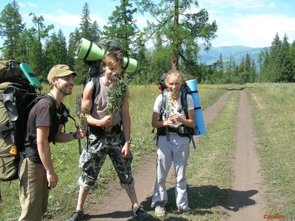 Дары природы