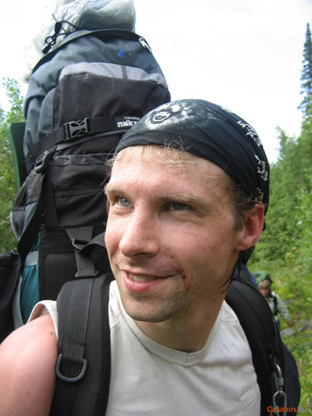 Размазанные комары