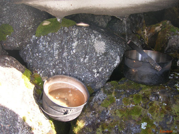 Котелки под снежником