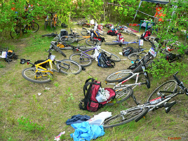 Лежбище загадочных животных