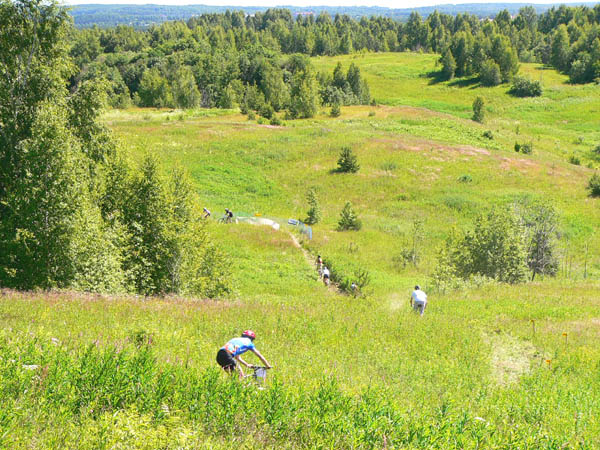 Просмотровый круг