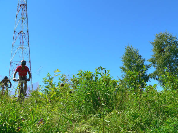 Спуск с [вышки]