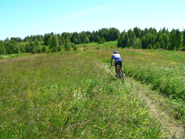 Кононов улетел от [птички]