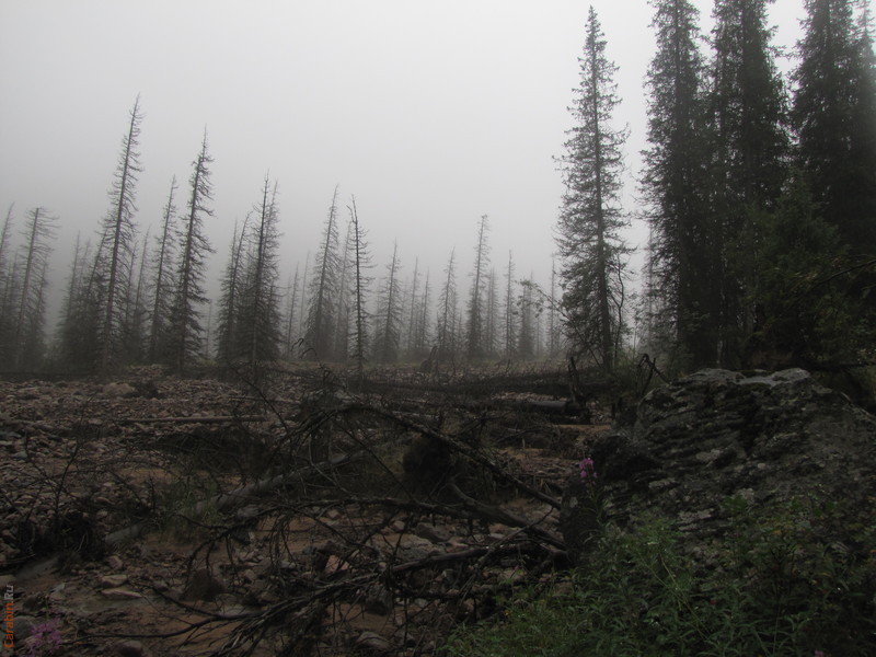 а где баба-яга