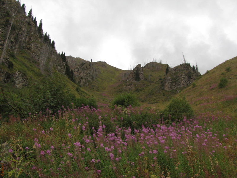 на пути к Бутаковскому перевалу